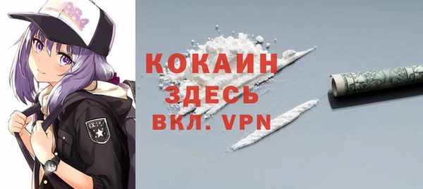 молекула духа Гусев