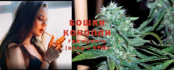 молекула духа Гусев